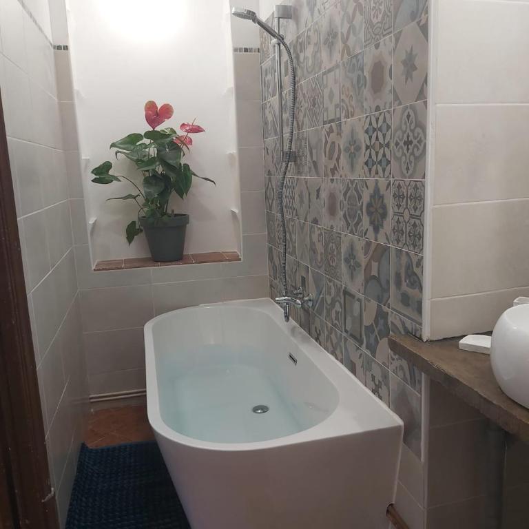 Chez jacky - Chambre Double - Vue sur Jardin - 3