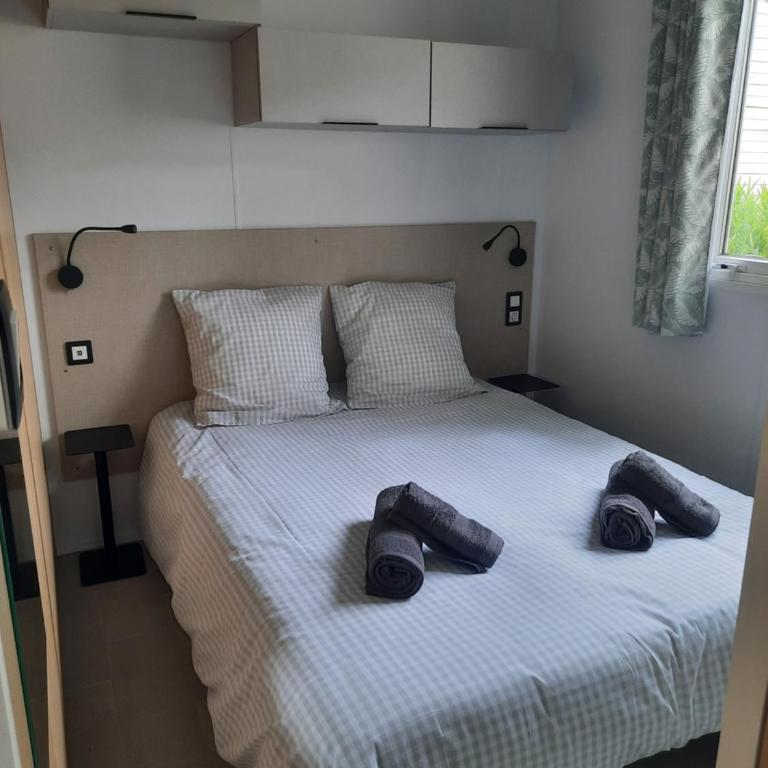 Mobil home grd confort 4 ch 8 pers camping 4 étoiles mer plancha terrasse couverte linge fournis - Casa Mobile - 17