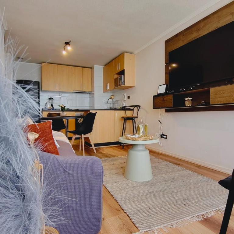 Acogedor y luminoso depto cerca de mall Trébol - Apartamento de 2 dormitorios - 23