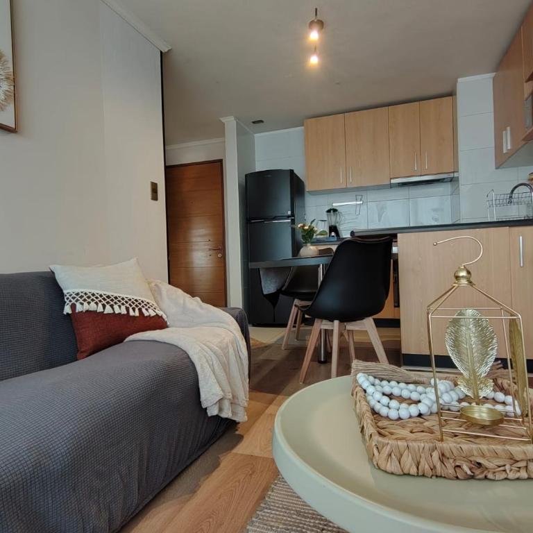 Acogedor y luminoso depto cerca de mall Trébol - Apartamento de 2 dormitorios - 46