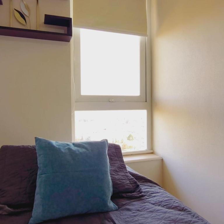 Acogedor y luminoso depto cerca de mall Trébol - Apartamento de 2 dormitorios - 49