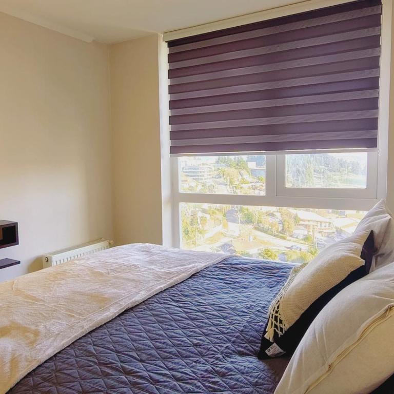 Acogedor y luminoso depto cerca de mall Trébol - Apartamento de 2 dormitorios - 56