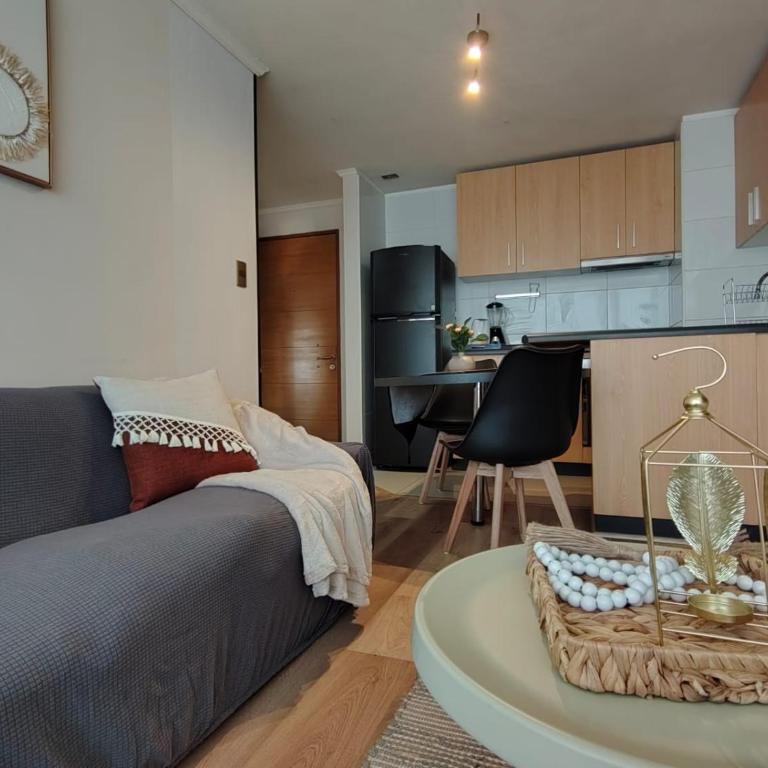Acogedor y luminoso depto cerca de mall Trébol - Apartamento de 2 dormitorios - 57