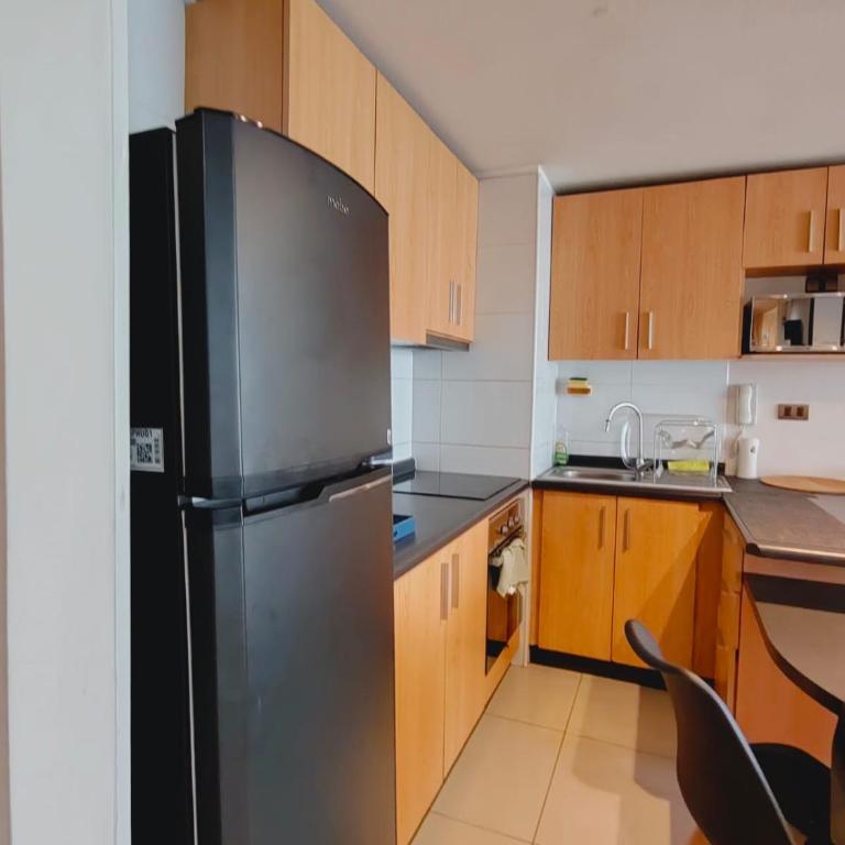 Acogedor y luminoso depto cerca de mall Trébol - Apartamento de 2 dormitorios - 62