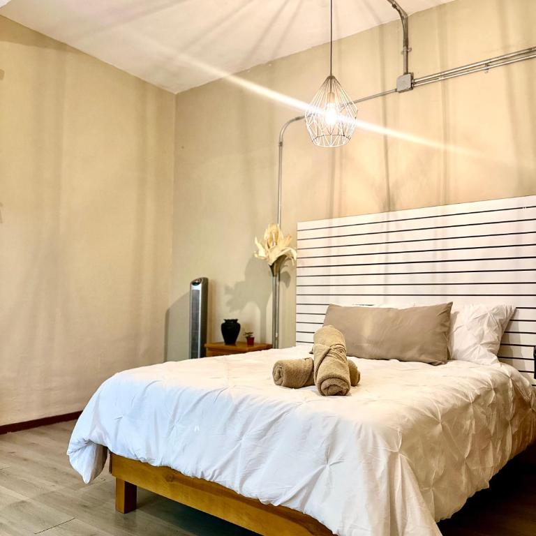 Suite in Oaxaca Centro - Habitación Doble con baño privado - 6