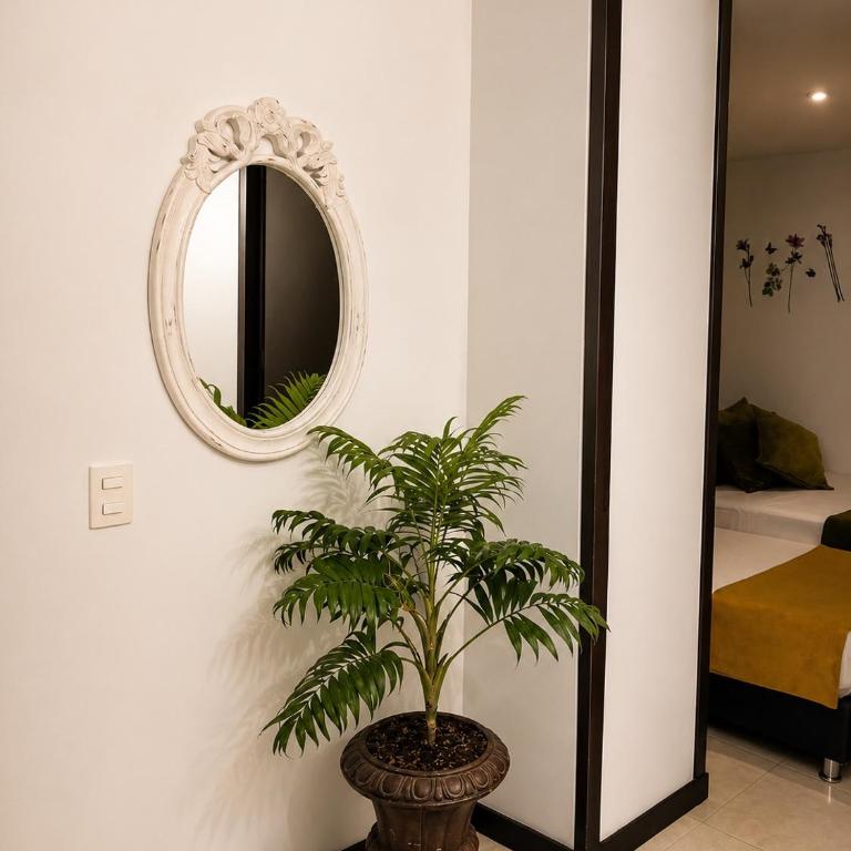 Apartamento cerca parque del Café con Piscina - Apartamento Clásico - 1