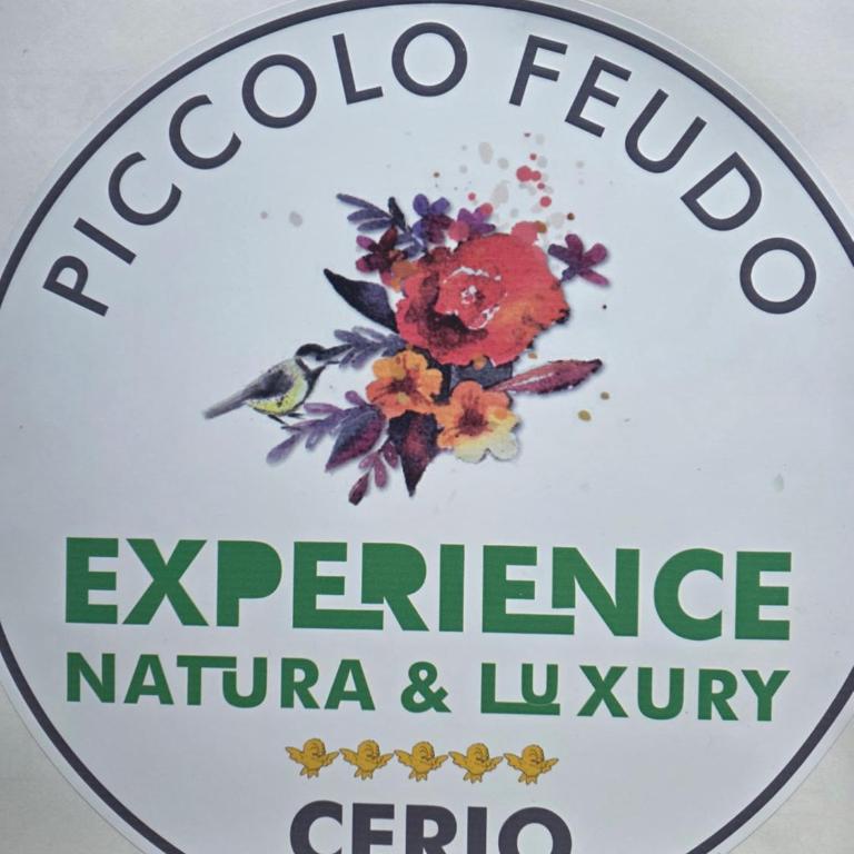 Piccolo Feudo Green Resort - Suite King con Vasca Idromassaggio - 1