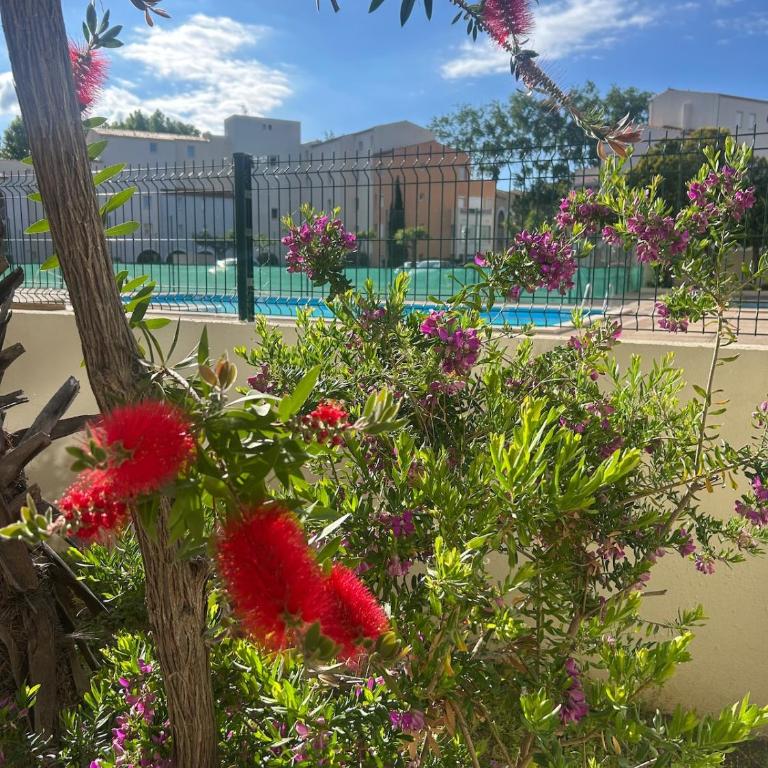 Nauticap cap d agde - Apartment mit 1 Schlafzimmer - 18