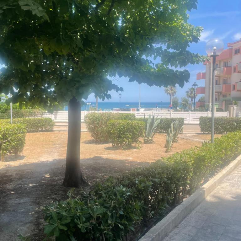 Alba sul mare - Appartamento con 2 Camere da Letto - 32