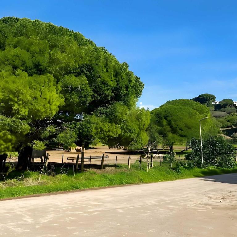 Apartamento con piscina privada Barbacoa y jardin en plena Naturaleza - Casa Vacanze - 19