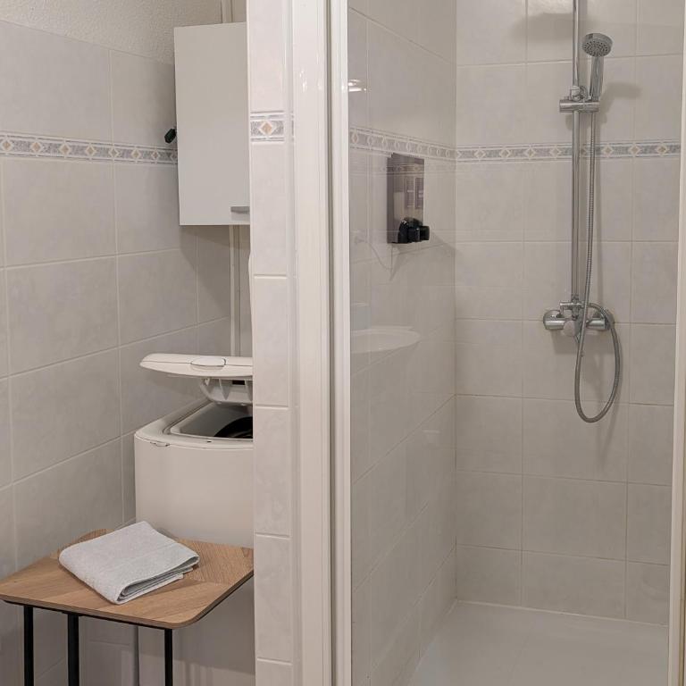 L'Aiglon Studio cocon au coeur de Gap - Appartement 1 Chambre - 17