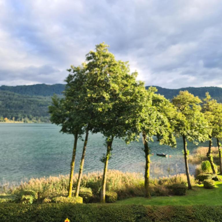 Lakesideview Keutschach am See - Apartment mit 2 Schlafzimmern und Seeblick - 51