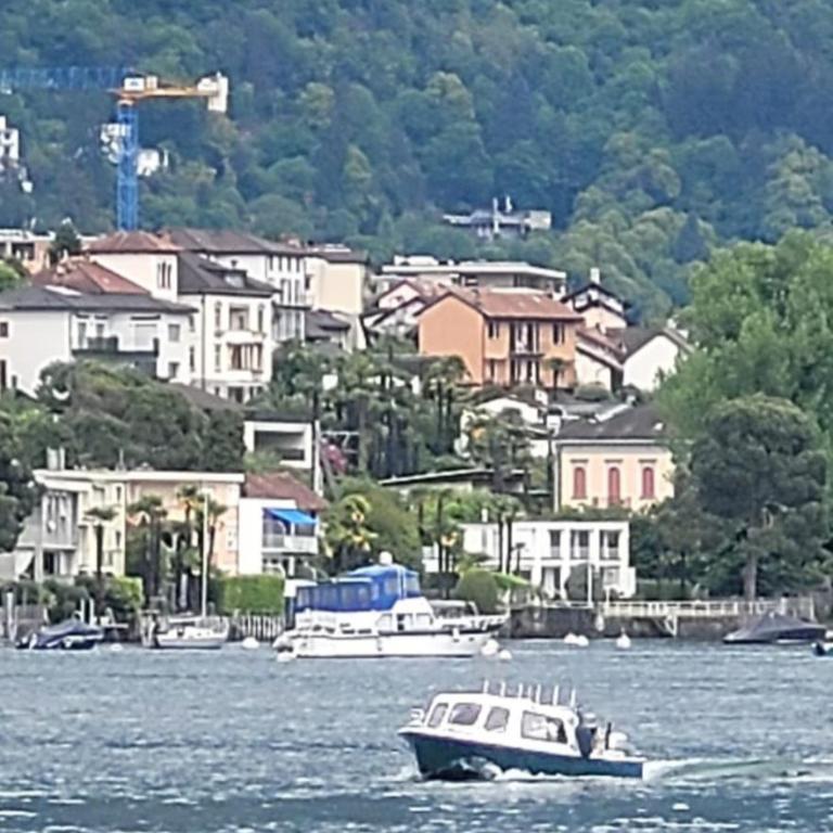 Ferien Paradies - Appartamento con 1 Camera da letto con Vista Parco - 16