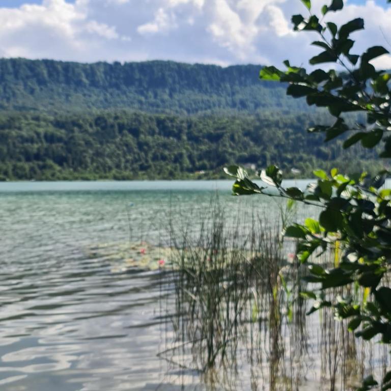 Lakesideview Keutschach am See - Apartment mit 2 Schlafzimmern und Seeblick - 59