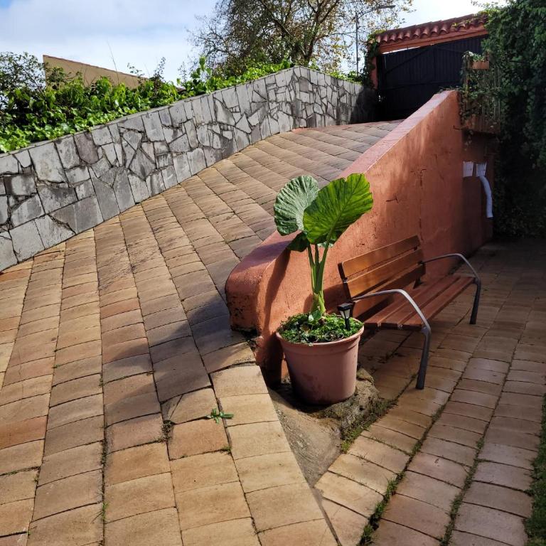 Villa Perdomo - Villa de 2 dormitorios - 8