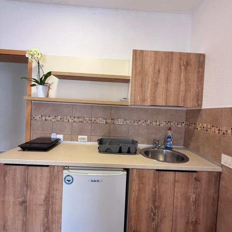 Apartmani PERICIC SUTOMORE NEW HOUSE - Studio Familial - 11