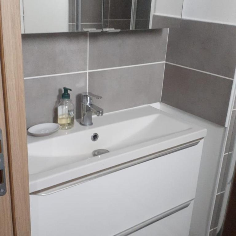 studio entièrement équipé avec balcon et accès jardin - Apartment mit 1 Schlafzimmer - 13