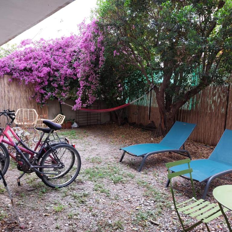 studio entièrement équipé avec balcon et accès jardin - Apartment mit 1 Schlafzimmer - 15
