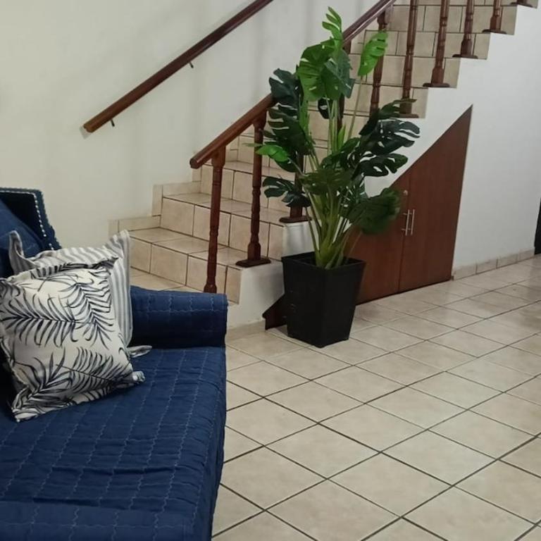 Lighthouse, Pier and Olas Altas Everything close - Two-Bedroom House - 10