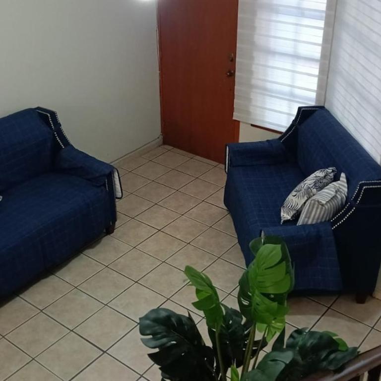 Lighthouse, Pier and Olas Altas Everything close - Two-Bedroom House - 11