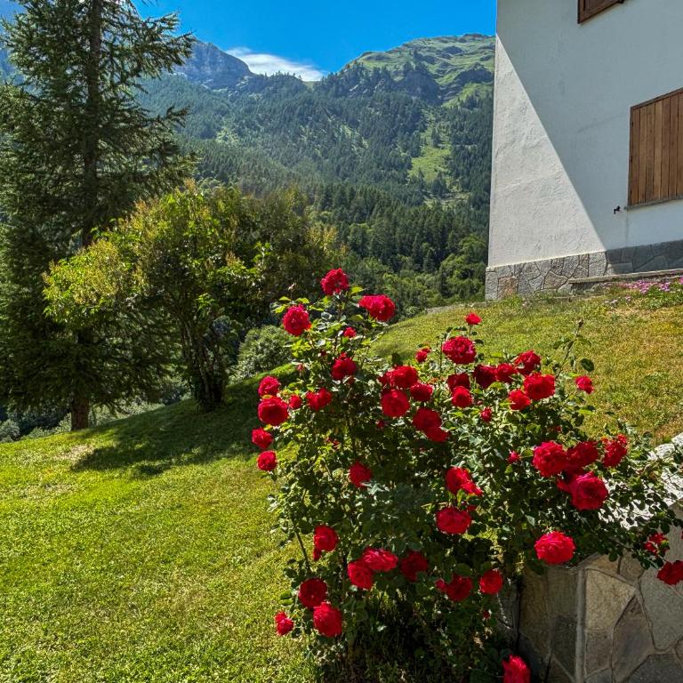 SkiNest - Private Garden Mountain Escape - Apartamento de 3 dormitorios con vistas a las montañas - 41