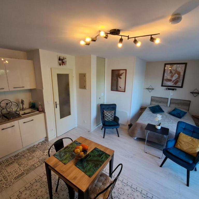 Coup de cœur 3 étoiles terrasse parking Wifi à 70 m des thermes - Appartement 1 Chambre - 7