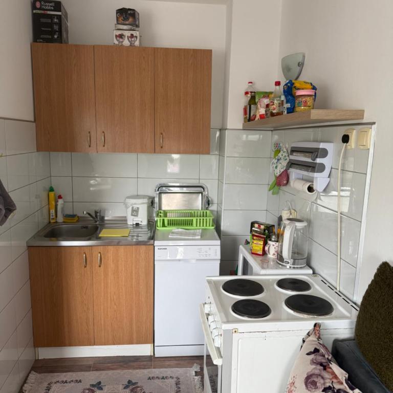 Wonderful apartment in the heart of Tuzla - One-Bedroom Apartment - 8