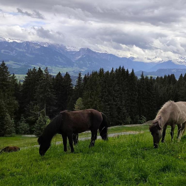 Ferienhaus Gabriela Allgäu - Haus mit 3 Schlafzimmern - 51