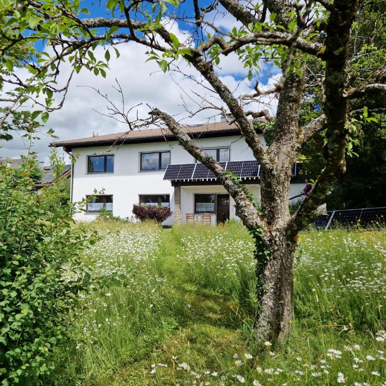 Ferienwohung Lederle - Apartment mit 1 Schlafzimmer - 12
