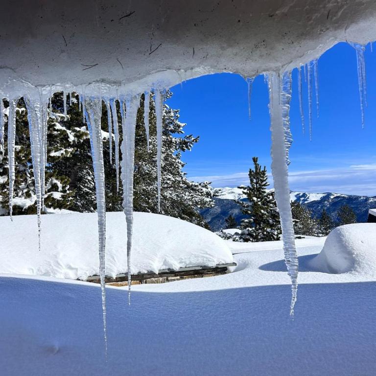 L'Art Chalet Les Angles - Three-Bedroom Chalet - 22