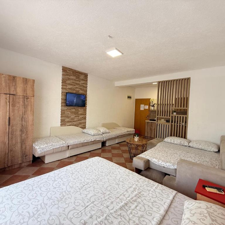 Apartmani PERICIC SUTOMORE NEW HOUSE - Studio Familial - 5