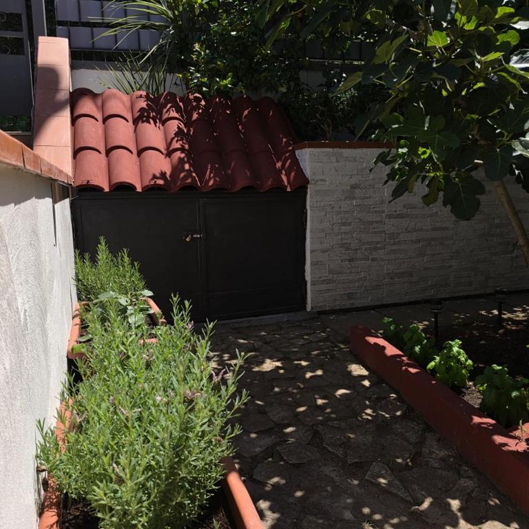 La Palma del Cilento - One-Bedroom Apartment - 57