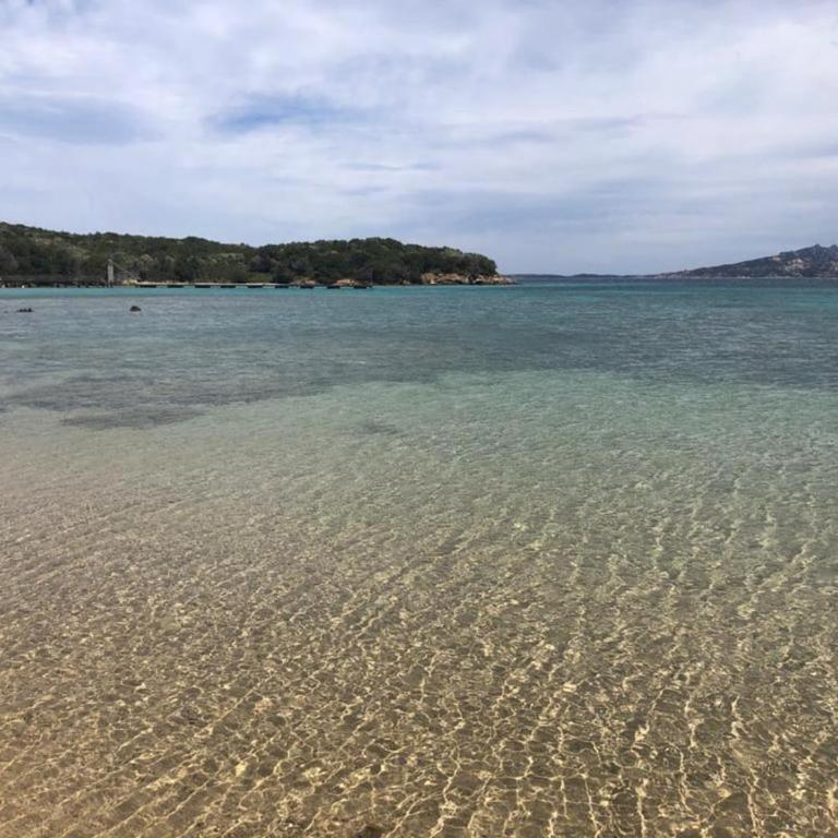 Villa Capodorso, Palau Porto Pollo - Villa con 3 Camere da Letto - 2