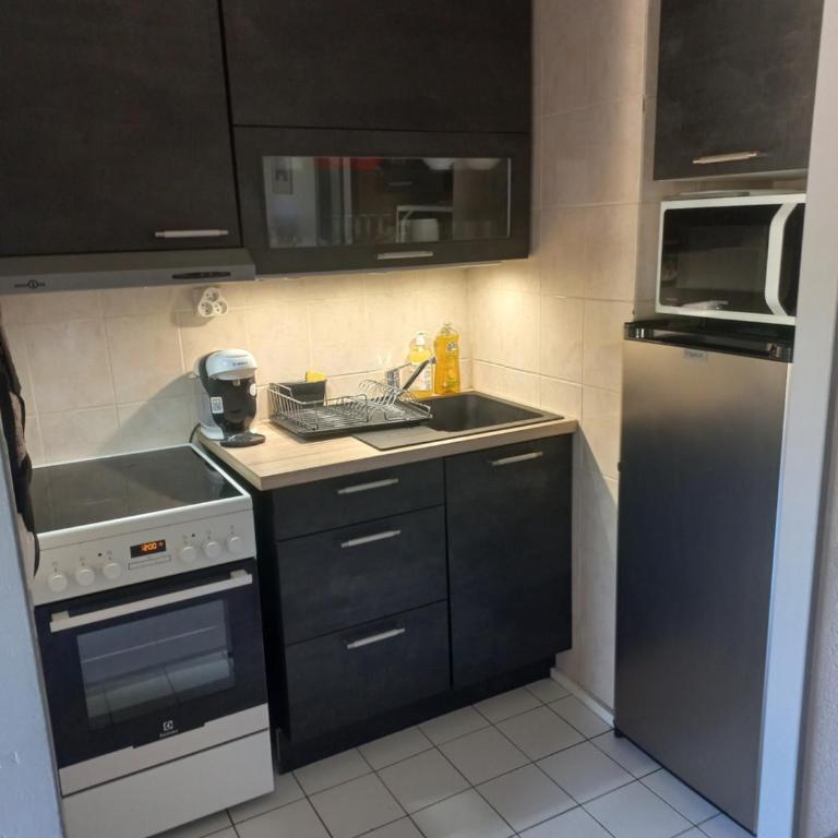 Appart 3 étoiles 6 pers au pied des pistes vue spendide sur la montagne les 2 alpes 1800 m - Apartment mit Blick auf die Berge - 16