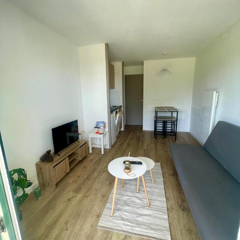 SAS Vac Appart - Appartement 1 Chambre - 3