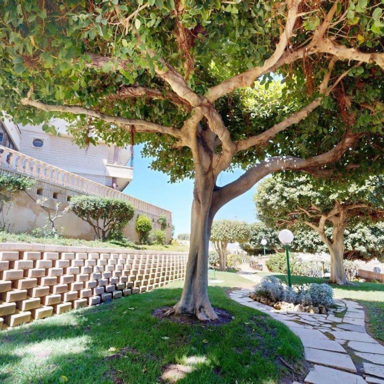 258 Mirasol Conforsol - Apartamento con vistas al mar - 42