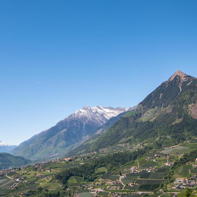 Ferienwohnungen Preiss - Schenna - Appartamento con 2 Camere da Letto - 14