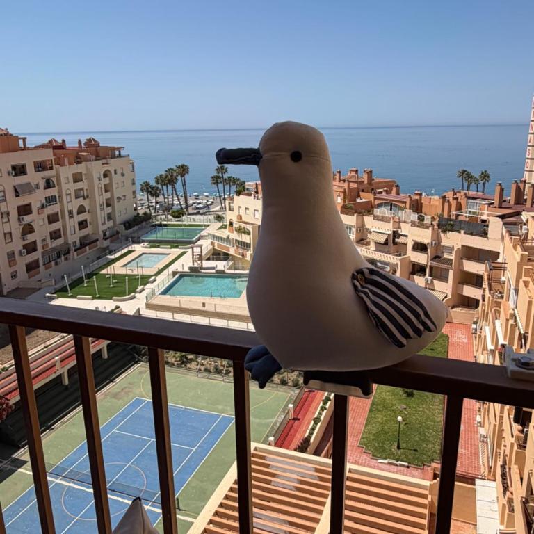 Apartamento con vistas en Mariote - Apartamento - 10