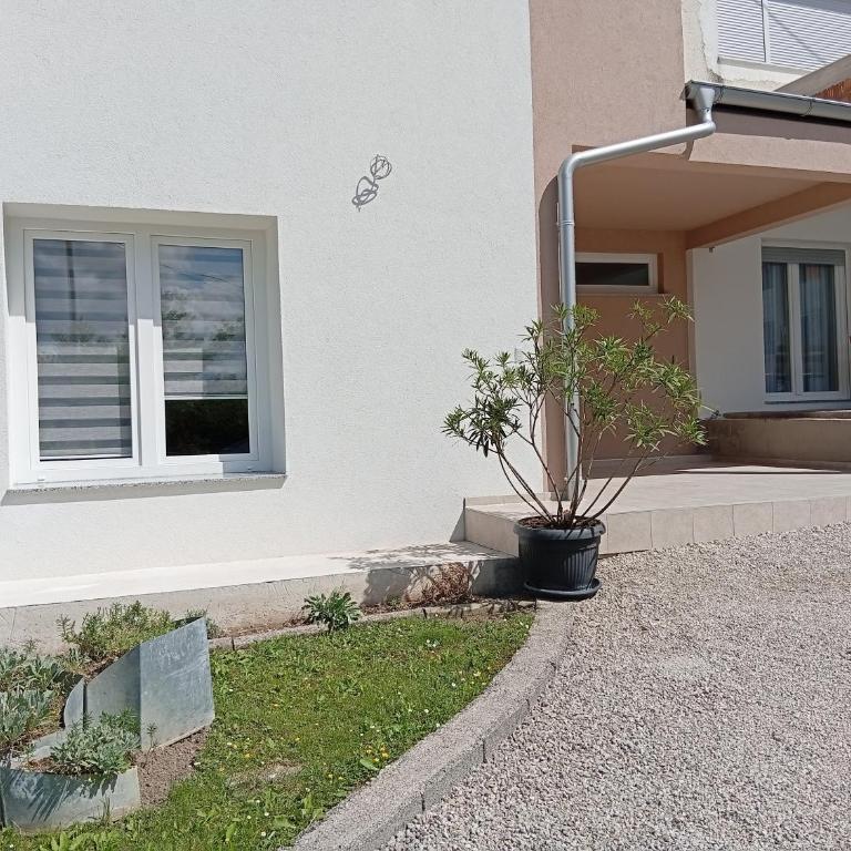 Apartman Ema - Apartman sa 1 Spavaćom Sobom - 8