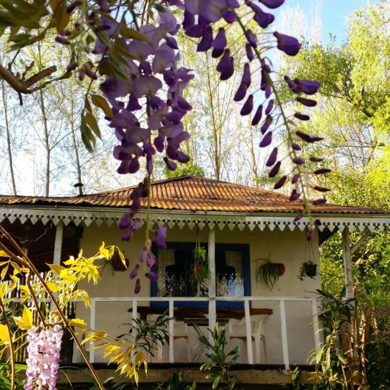Cabaña de los peces - Casa con 1 dormitorio - 3