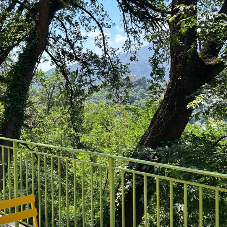 Des Ciappes et des Fées - Double Room with Terrace - 5