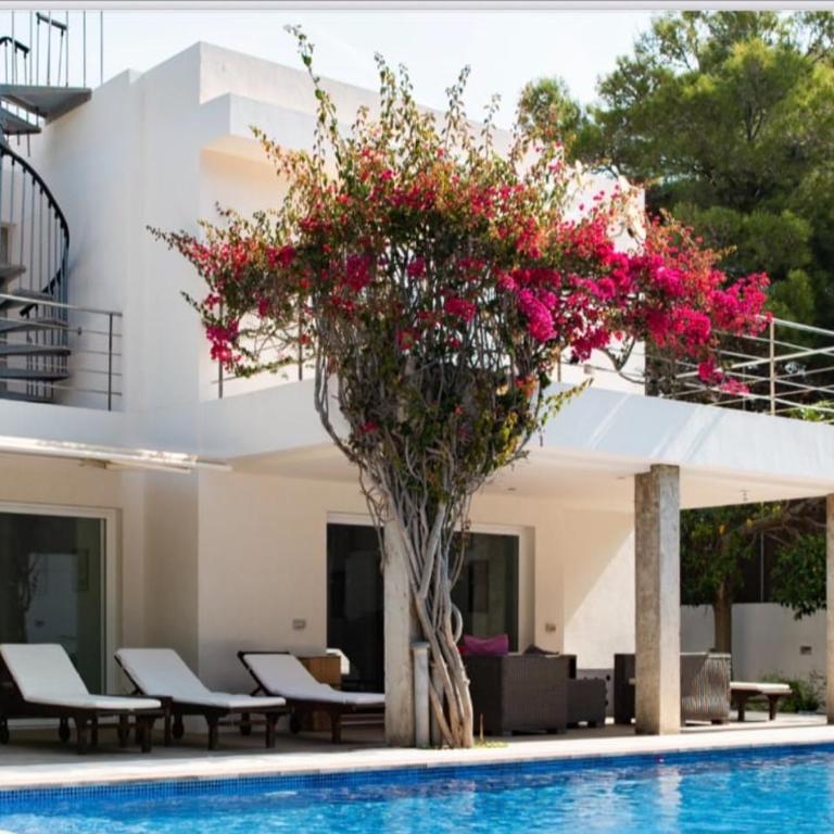 Wonderful Villa Cala Tarida - Villa - 20