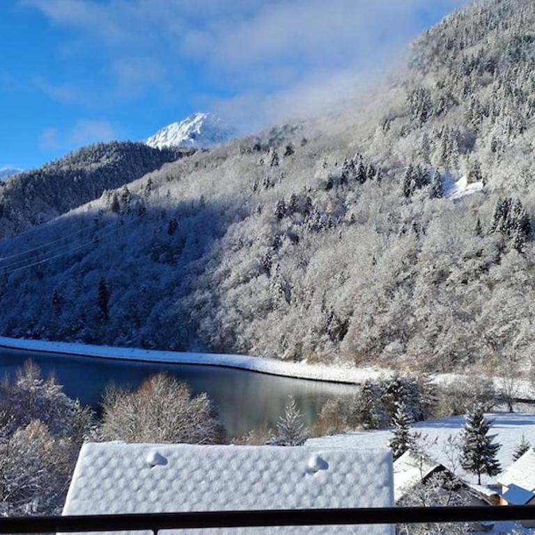 Montagne et Lac - Appartement 2 Chambres - Vue sur Lac - 38
