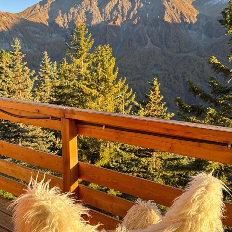 Rare chalet 10 personnes vue montagne - Chalet 3 Chambres - 17