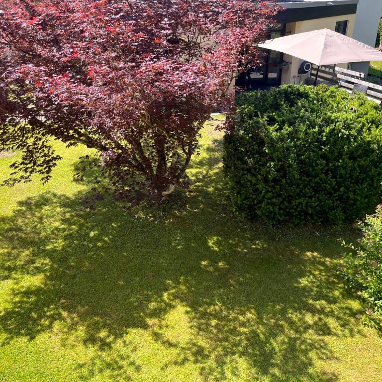 Allgäu Bungalow GLOW - Haus mit 2 Schlafzimmern - 41