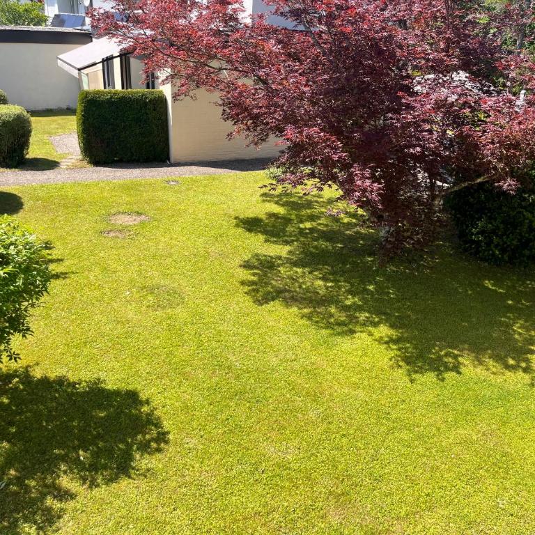 Allgäu Bungalow GLOW - Haus mit 2 Schlafzimmern - 40