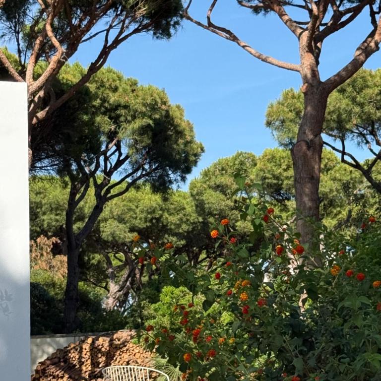 La Fundación de la Luz - 2 casas Piscina & Barbacoa privada Playa a 9 min - Casa con 3 Camere da Letto - 34