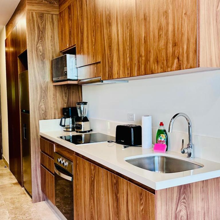 Brand New Paravian Suites by Caribe Rentas - Appartement 1 Chambre de Luxe - Vue sur Jardin - 2