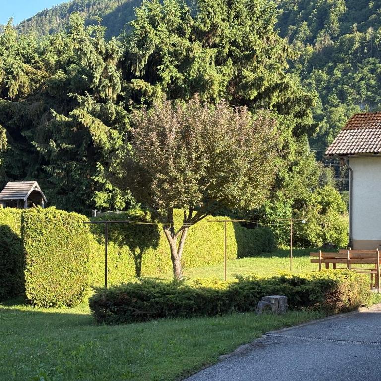 Apartment P95 - Appartamento con 2 Camere da Letto - 33