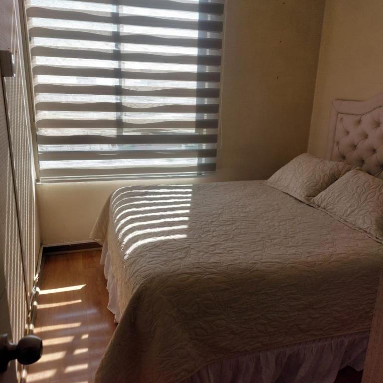 Exponor 3 dormitorio 2 baños - Apartamento de 3 dormitorios - 12